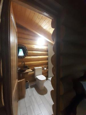 Perla Chiuzbaii Villa Baia Sprie Exterior foto