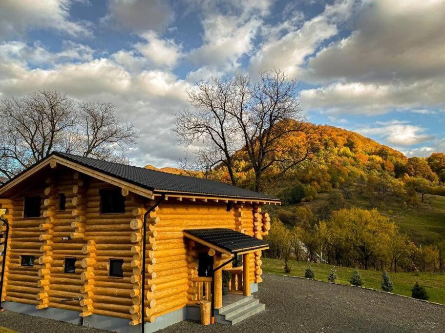 Perla Chiuzbaii Villa Baia Sprie Exterior foto