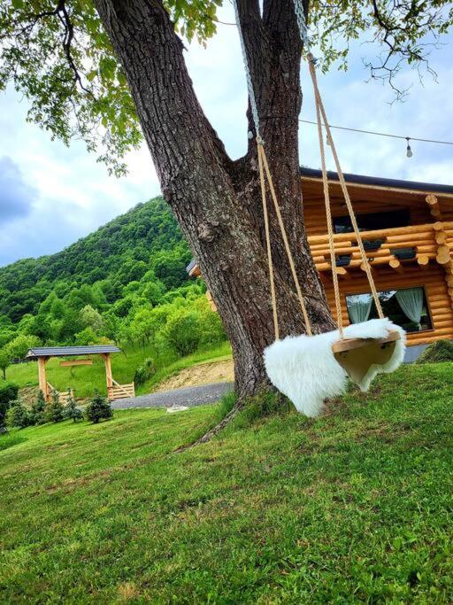 Perla Chiuzbaii Villa Baia Sprie Exterior foto