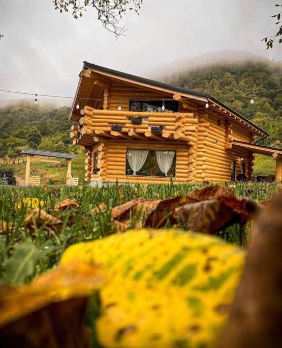 Perla Chiuzbaii Villa Baia Sprie Exterior foto